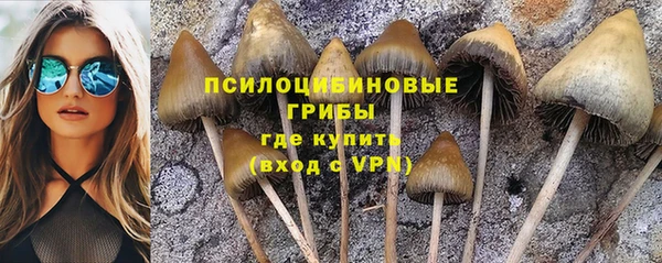 мяу мяу мука Баксан